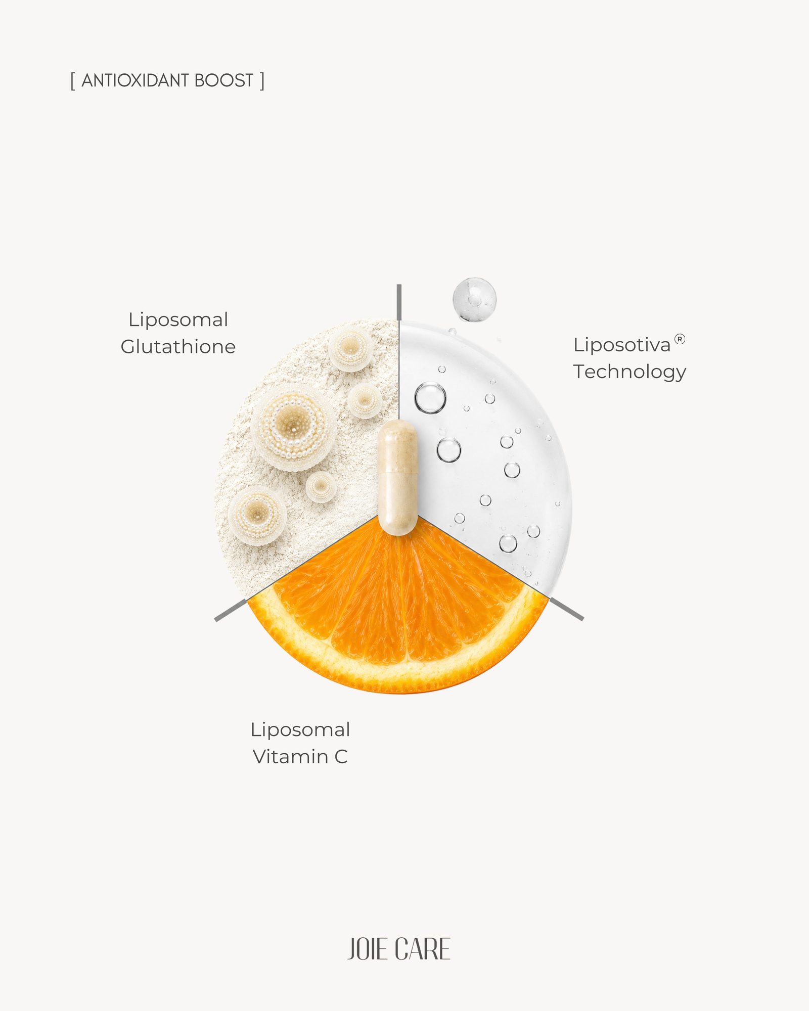 Joie Care antioxidant boost ingredient diagram